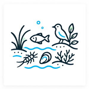 biodiversity-ecosystems